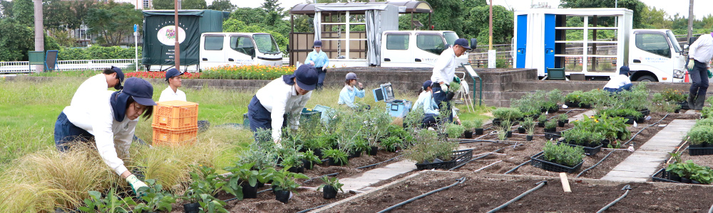 新名古屋火力発電所の花壇に「宿根草」を植え付け
